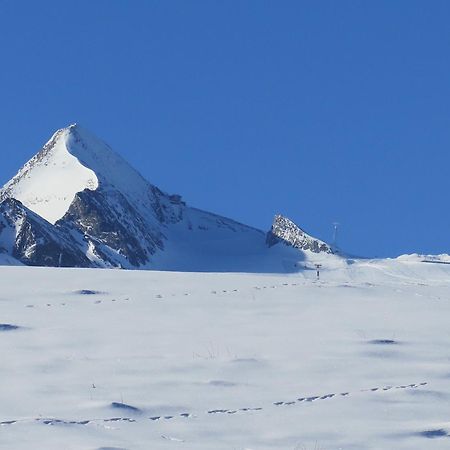 Art Apart Nomay Summercard Blick Top Of Salzburg Kaprun Exterior photo